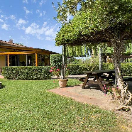 Agriturismo Terra Di Elea Azienda Agricola Di Raimondo Michela 阿谢亚 外观 照片