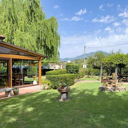 Agriturismo Terra Di Elea Azienda Agricola Di Raimondo Michela 阿谢亚 外观 照片