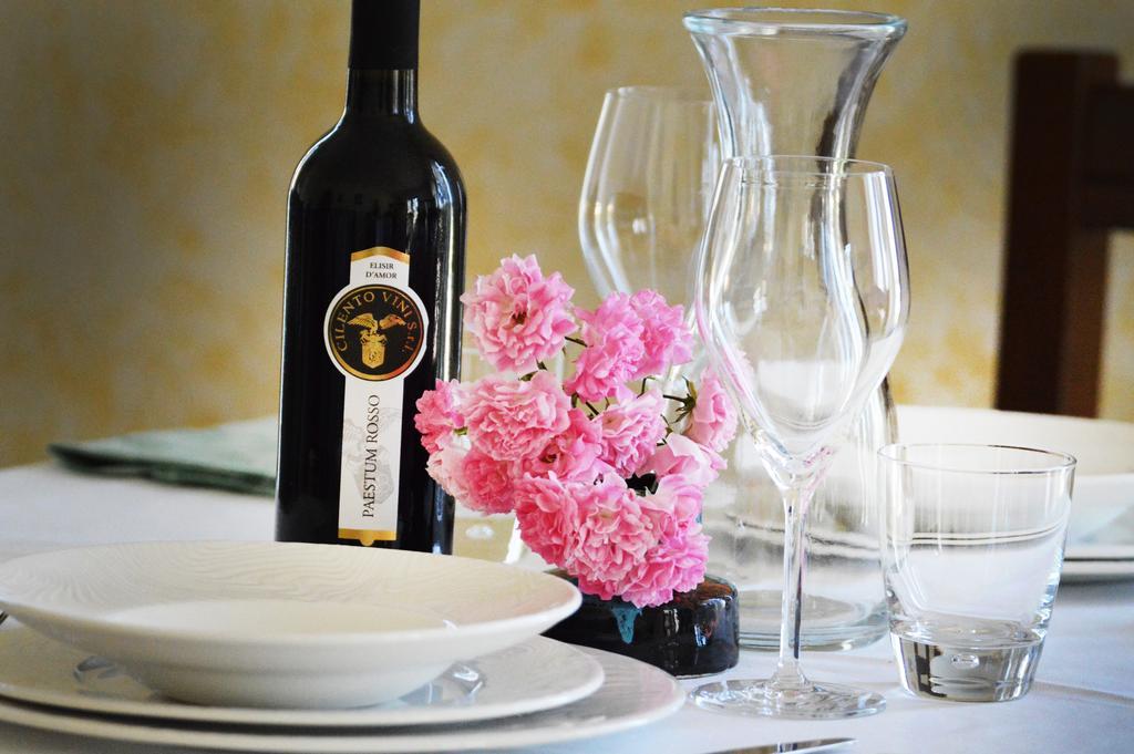 Agriturismo Terra Di Elea Azienda Agricola Di Raimondo Michela 阿谢亚 外观 照片
