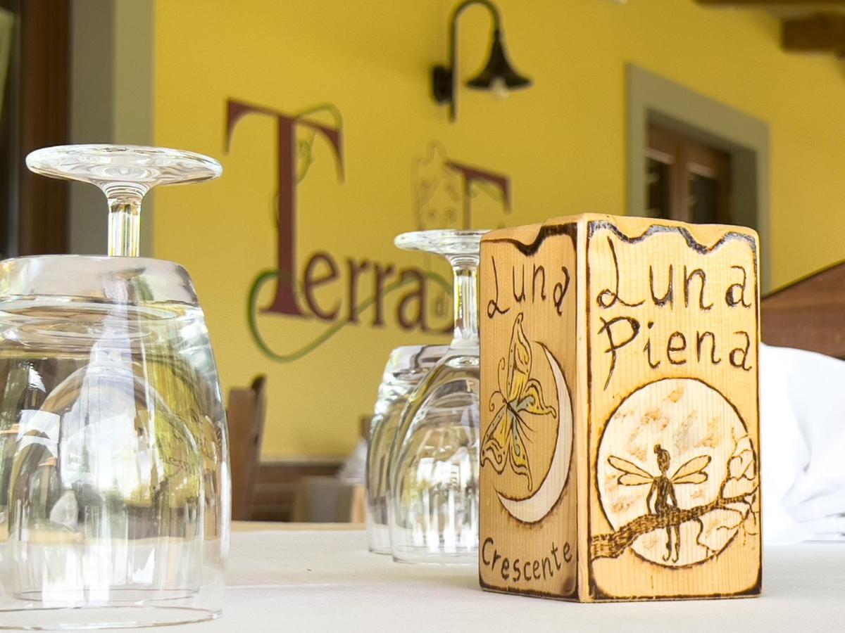 Agriturismo Terra Di Elea Azienda Agricola Di Raimondo Michela 阿谢亚 外观 照片