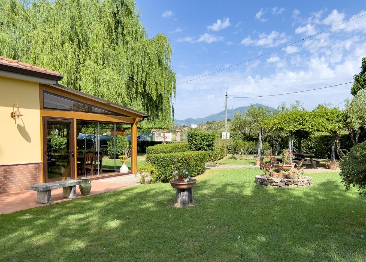 Agriturismo Terra Di Elea Azienda Agricola Di Raimondo Michela 阿谢亚 外观 照片