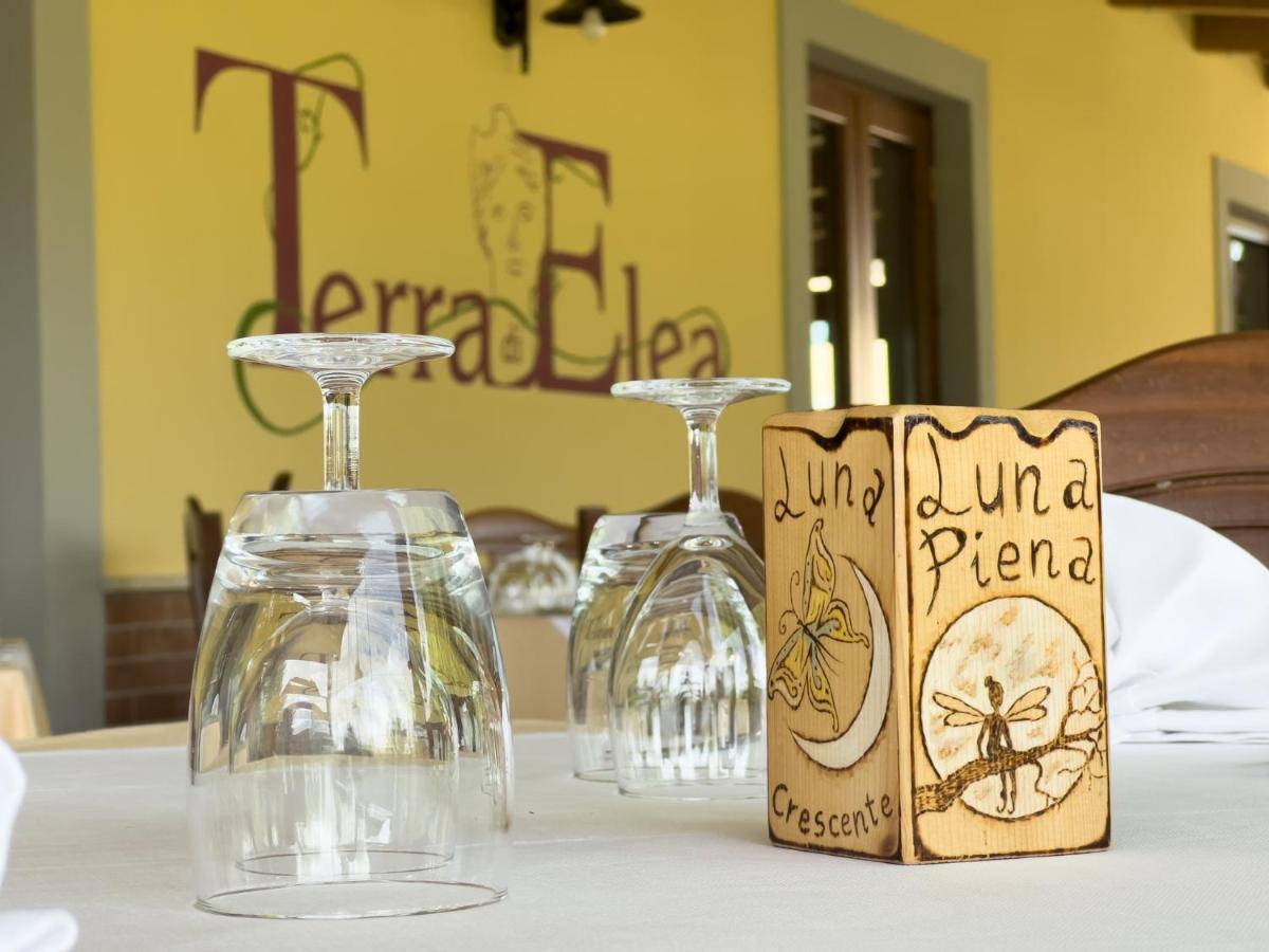 Agriturismo Terra Di Elea Azienda Agricola Di Raimondo Michela 阿谢亚 外观 照片