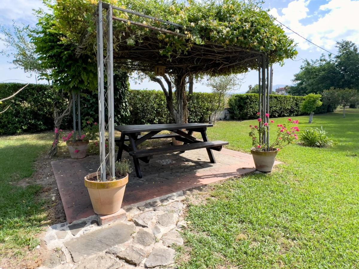 Agriturismo Terra Di Elea Azienda Agricola Di Raimondo Michela 阿谢亚 外观 照片