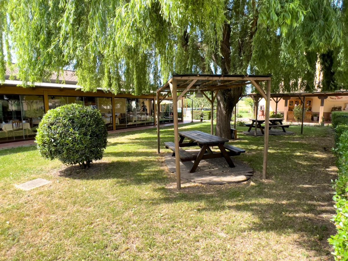 Agriturismo Terra Di Elea Azienda Agricola Di Raimondo Michela 阿谢亚 外观 照片