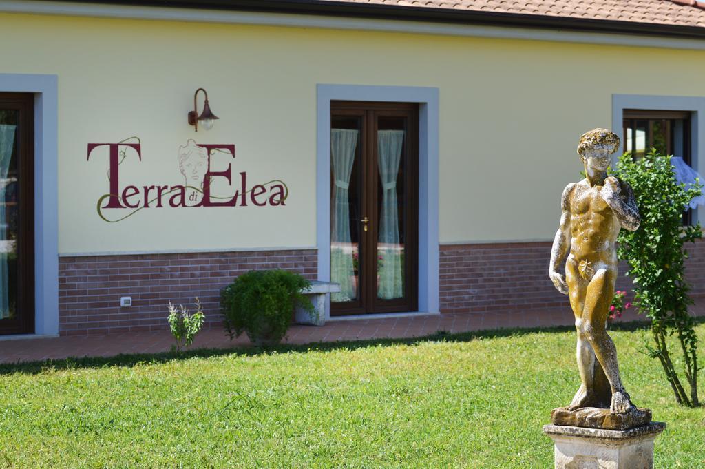 Agriturismo Terra Di Elea Azienda Agricola Di Raimondo Michela 阿谢亚 外观 照片