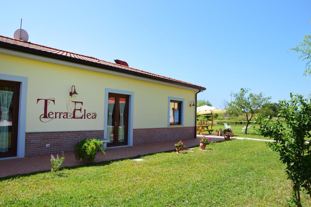 Agriturismo Terra Di Elea Azienda Agricola Di Raimondo Michela 阿谢亚 外观 照片