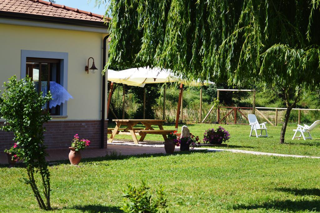 Agriturismo Terra Di Elea Azienda Agricola Di Raimondo Michela 阿谢亚 外观 照片