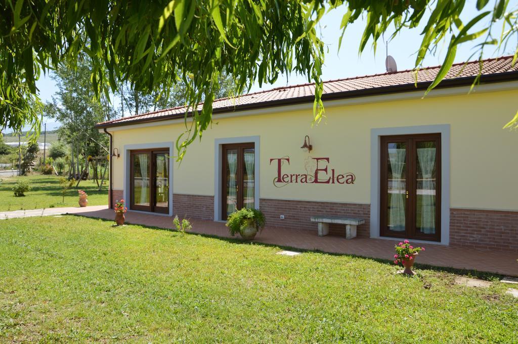 Agriturismo Terra Di Elea Azienda Agricola Di Raimondo Michela 阿谢亚 外观 照片