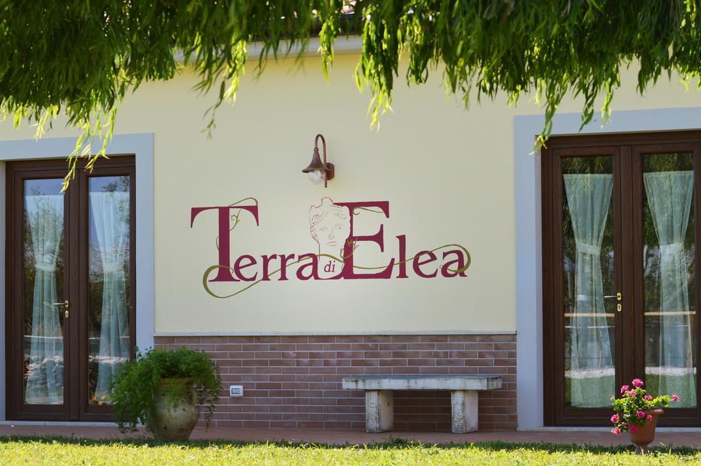 Agriturismo Terra Di Elea Azienda Agricola Di Raimondo Michela 阿谢亚 外观 照片
