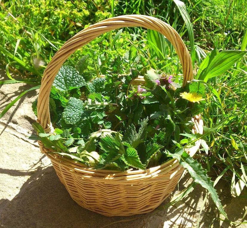 Agriturismo Terra Di Elea Azienda Agricola Di Raimondo Michela 阿谢亚 外观 照片
