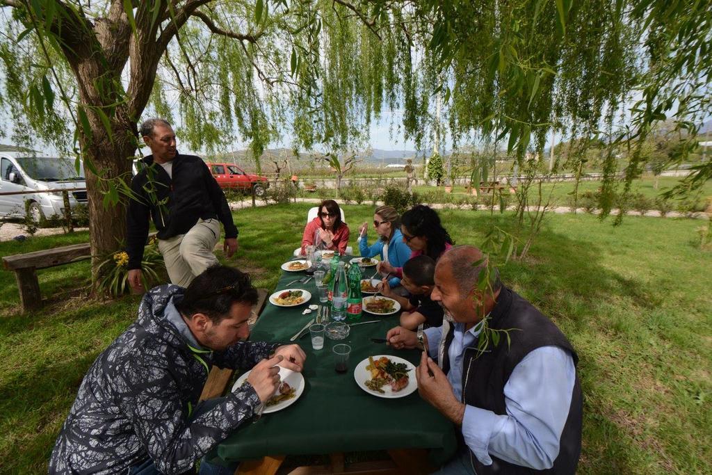 Agriturismo Terra Di Elea Azienda Agricola Di Raimondo Michela 阿谢亚 外观 照片