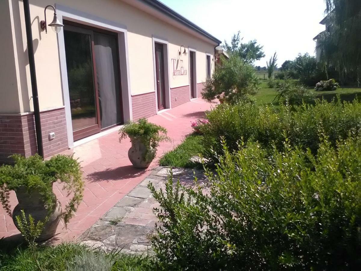 Agriturismo Terra Di Elea Azienda Agricola Di Raimondo Michela 阿谢亚 外观 照片