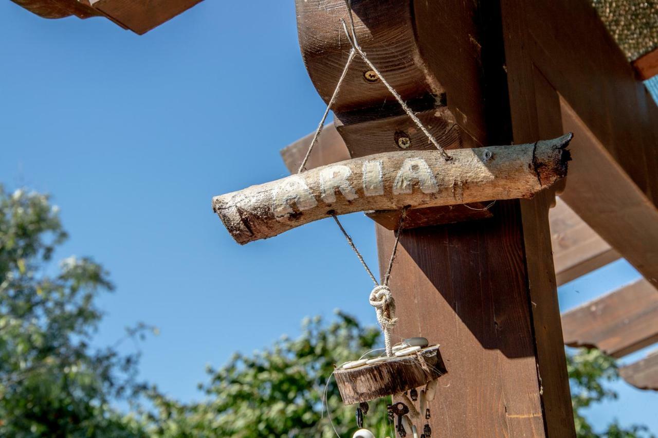 Agriturismo Terra Di Elea Azienda Agricola Di Raimondo Michela 阿谢亚 外观 照片