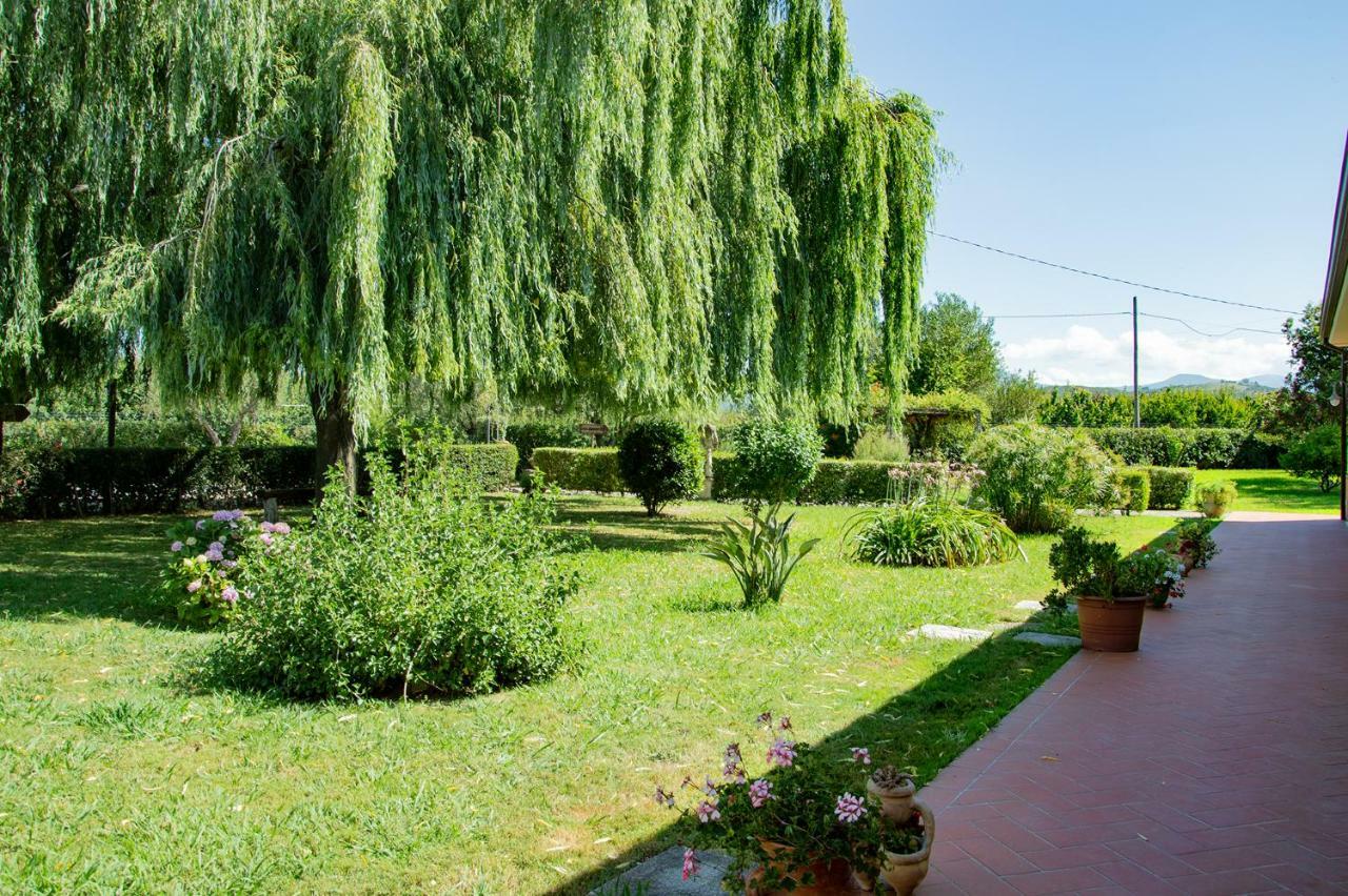 Agriturismo Terra Di Elea Azienda Agricola Di Raimondo Michela 阿谢亚 外观 照片